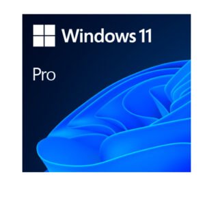 Windows 11 PRO Software360